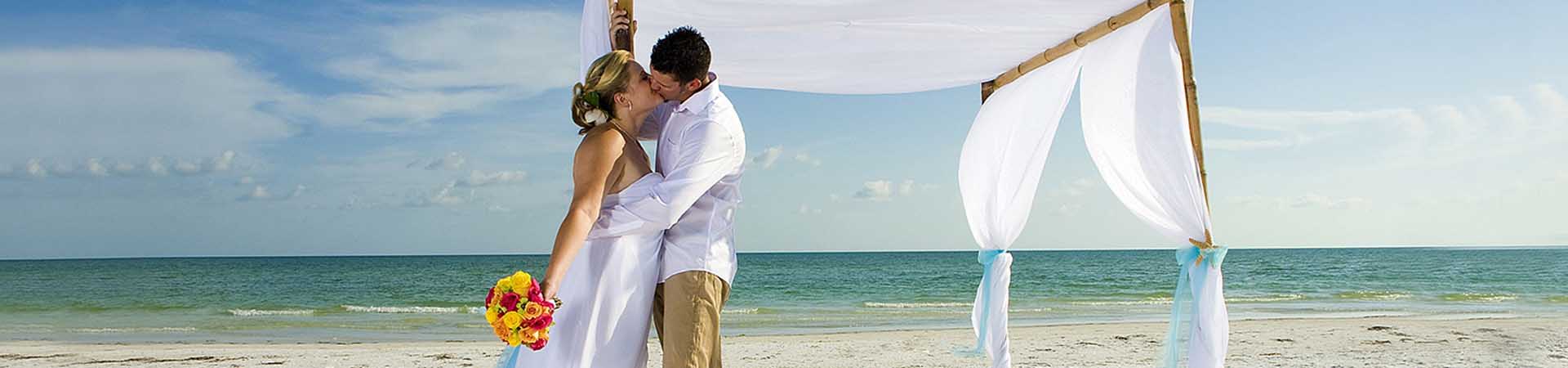Blog Banner